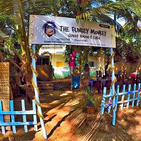The Funky Monkey Hotel